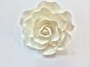 Extra Large White Rose